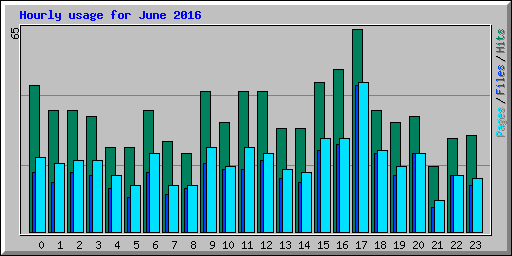 Hourly usage for June 2016
