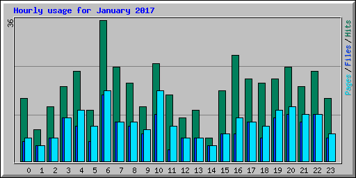 Hourly usage for January 2017